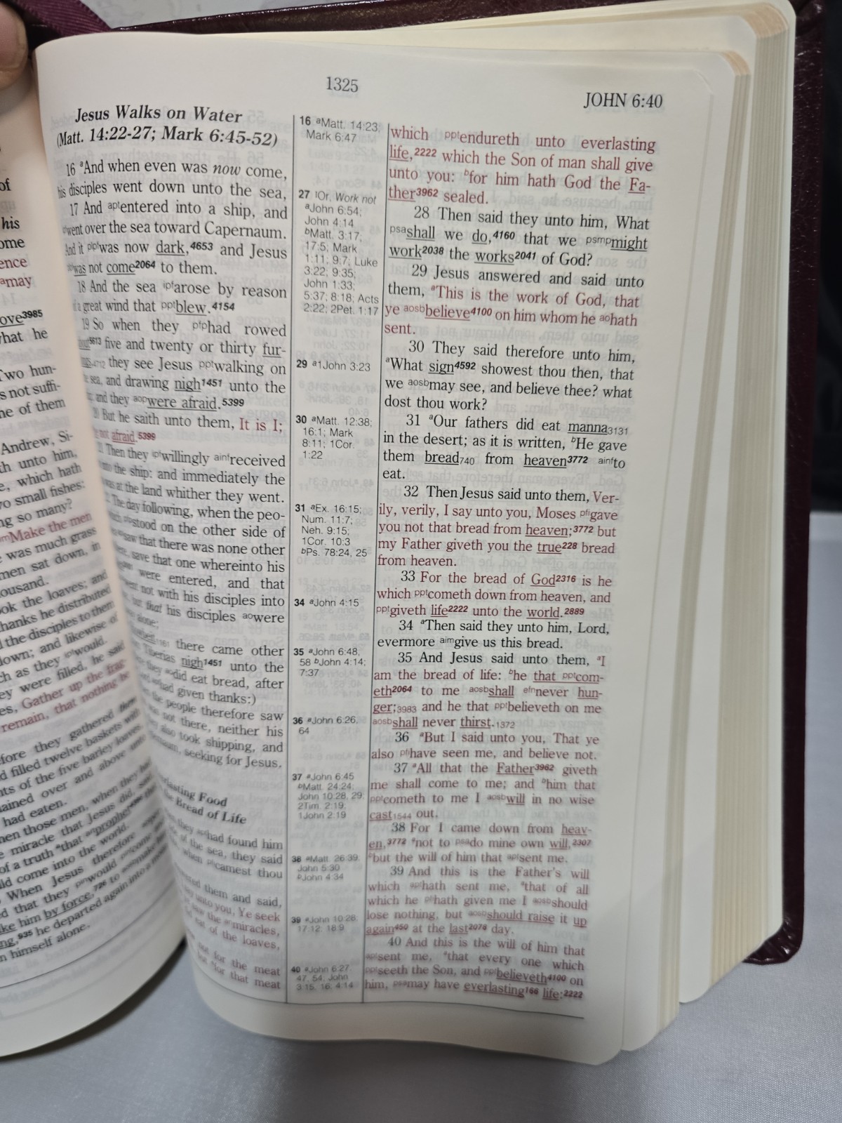 Hebrew-Greek Key Word Study Bible New King James Version Genuine Leather