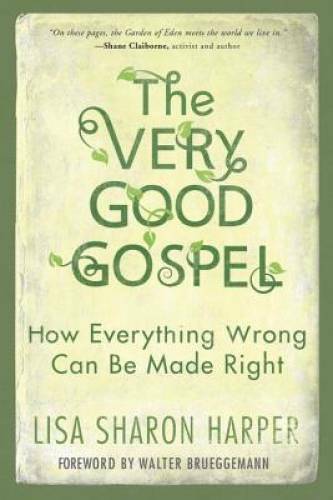 The Very Good Gospel: How Everything Wrong Can Be Made Right – Paperback – GOOD