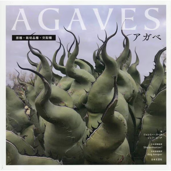 Agaves Hardcover Original Species Cultivated Hybrids Plant Care Book For Ages 14