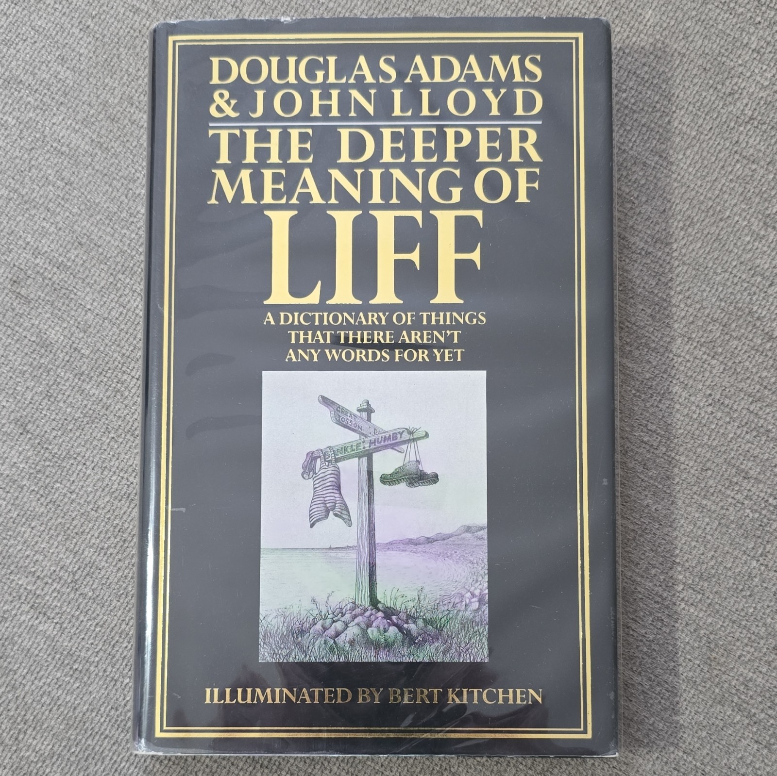 Douglas Adams John Lloyd The Deeper Meaning of Liff Hardcover 1990 Illustrated