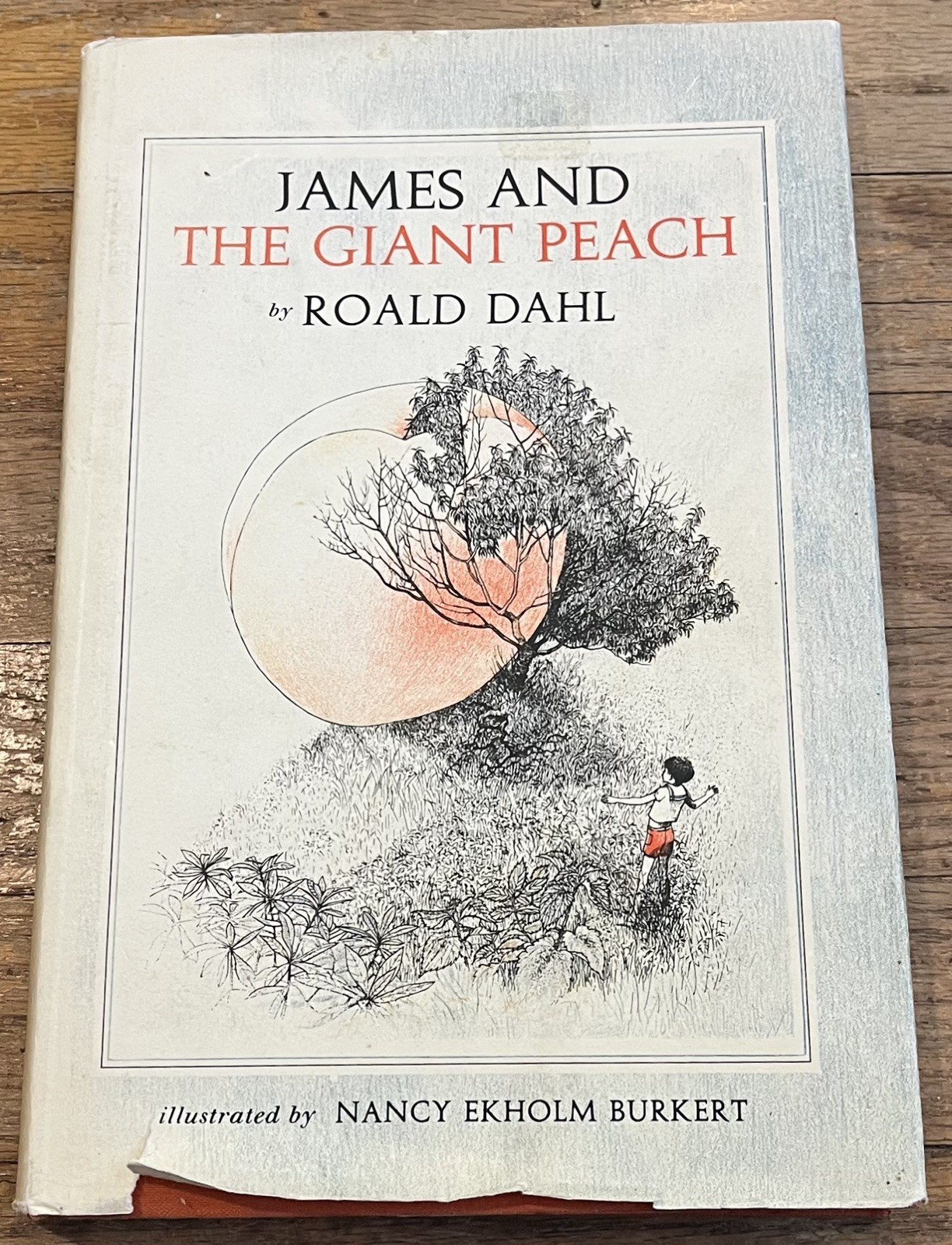 JAMES & THE GIANT PEACH : Roald Dahl : illus Nancy Ekholm Burkert : vintage hbdj