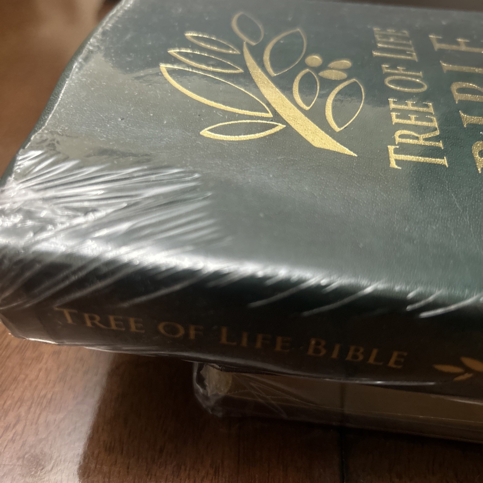 Tree of Life Bible with 52 Torah Treasures Messianic Judaism New Sealed