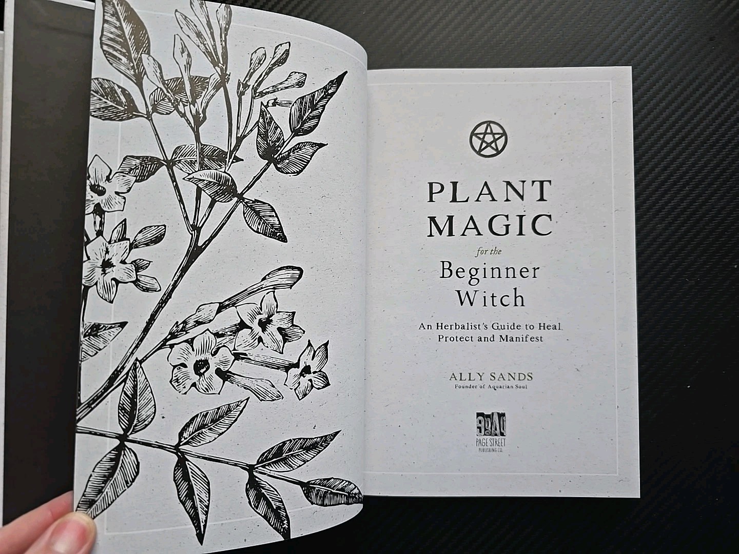 Plant Magic for the Beginner Witch : An Herbalistæs Guide to Heal, Protect an…