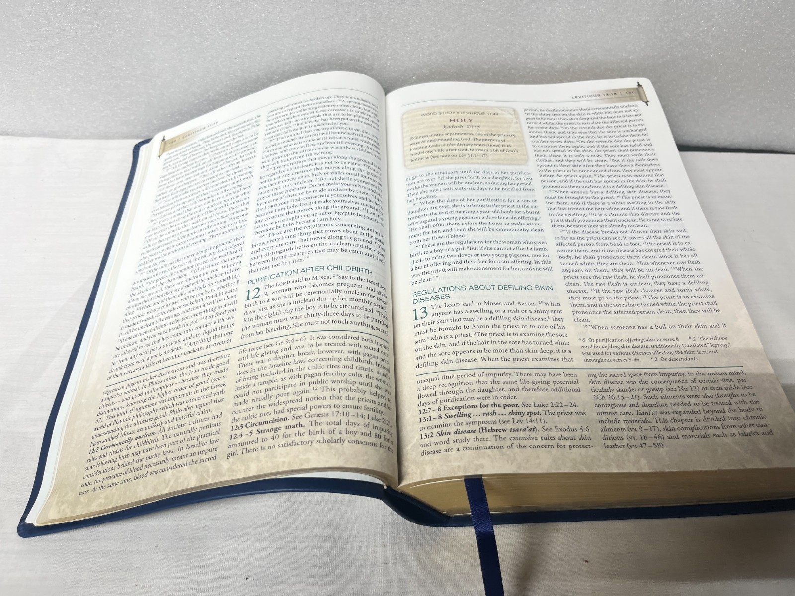 Jewish Voice Study Bible; NIV; Blue Leatherette Cover w. Gold Lettering