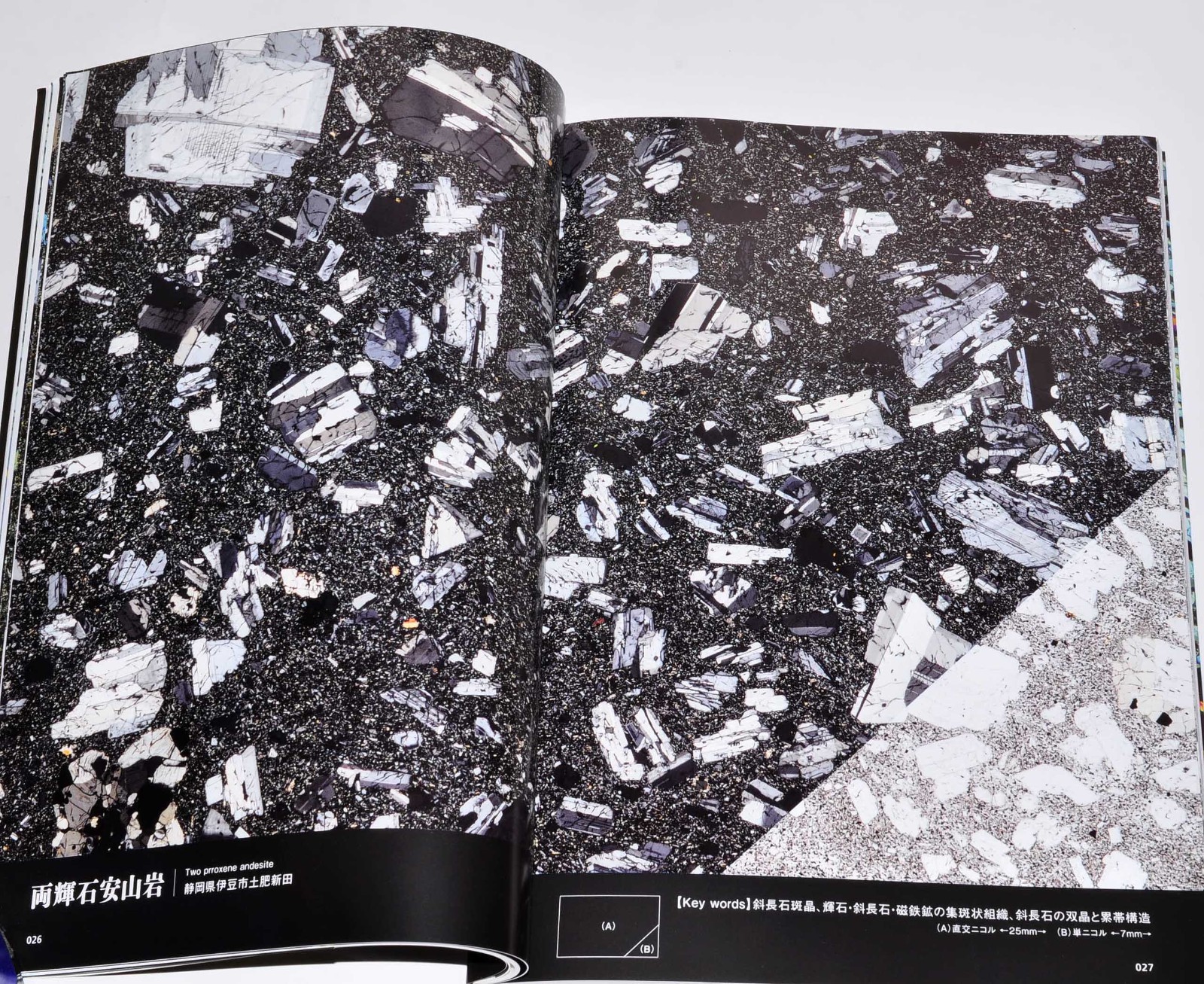 Rock Thin Section Illustrated Guide: Mineral Composition and History from Japan