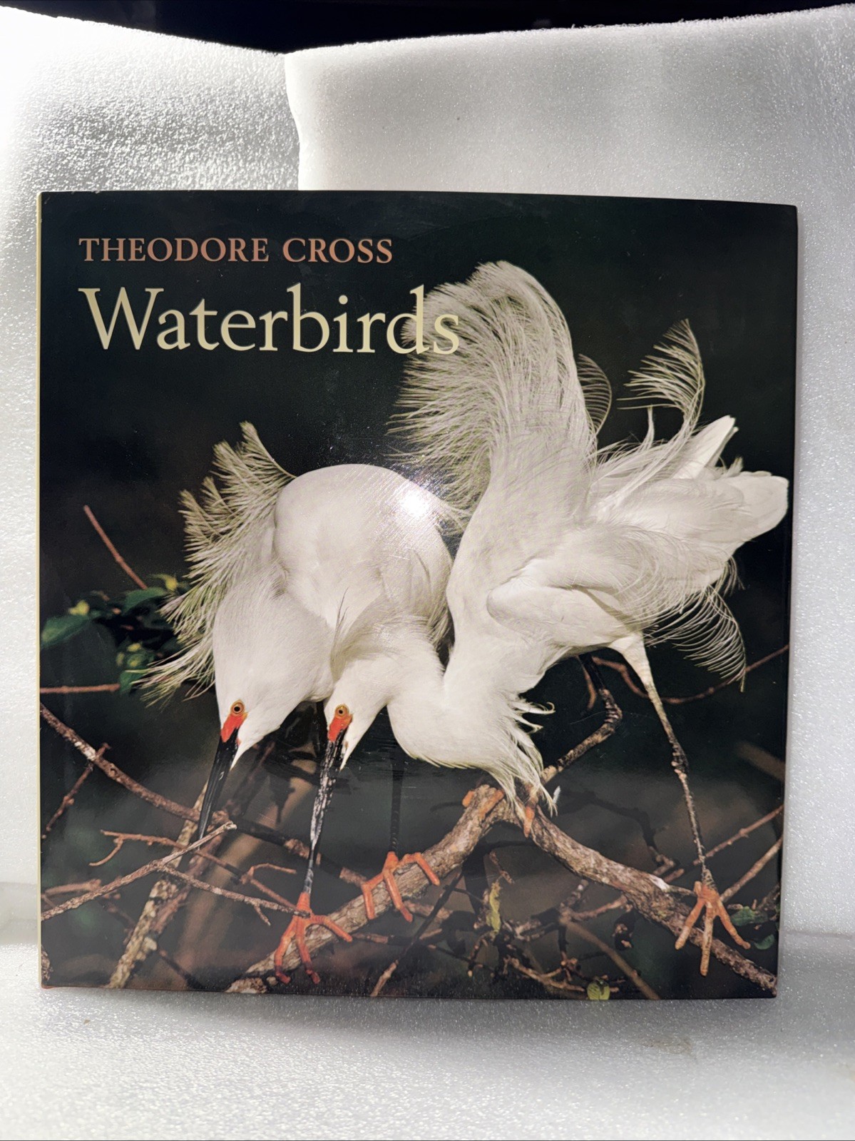 Waterbirds by Theodore Cross