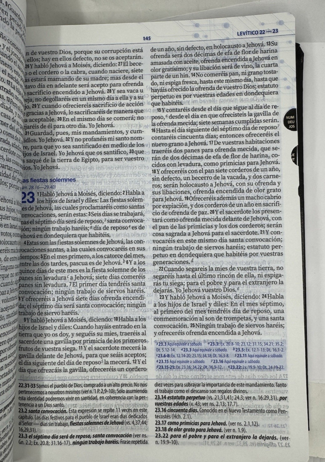 Biblia De Estudio Para El Discipulado RVR.1960 Cuero Con Indice