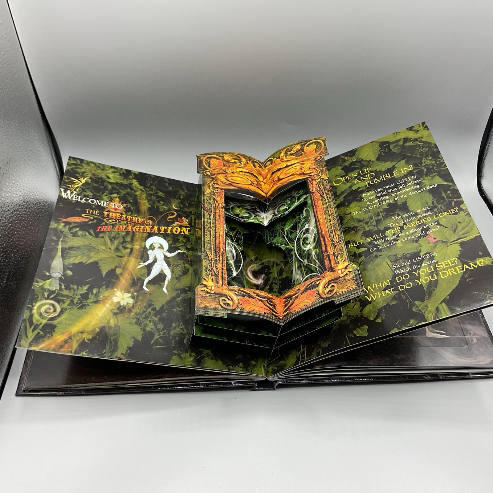 How To See Faeries Brian Froud John Matthews 2010 Pop Up Fantasy Book