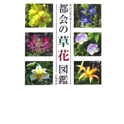 Urban Plants & Flowers Picture Book Nature Guide Excellent For Ages 14+