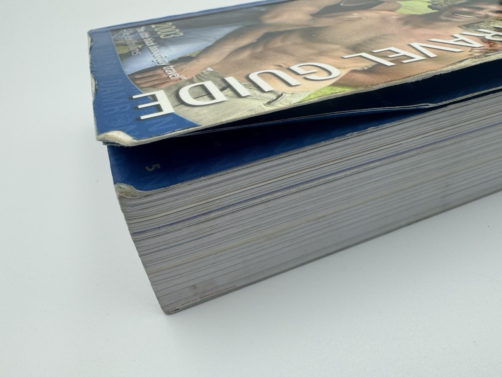 DAMRON MEN’S TRAVEL GUIDE 2003 SOFTCOVER 762 pages Gay Vacations Cruises Tours