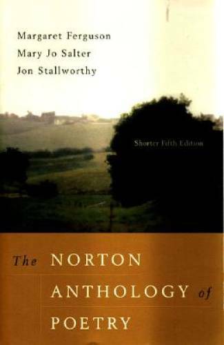 The Norton Anthology of Poetry, Shorter Fifth Edition – Paperback – ACCEPTABLE