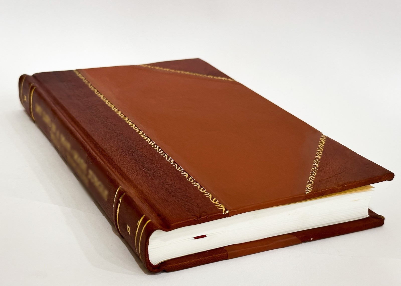 Prosper: A Novel [Leather Bound]