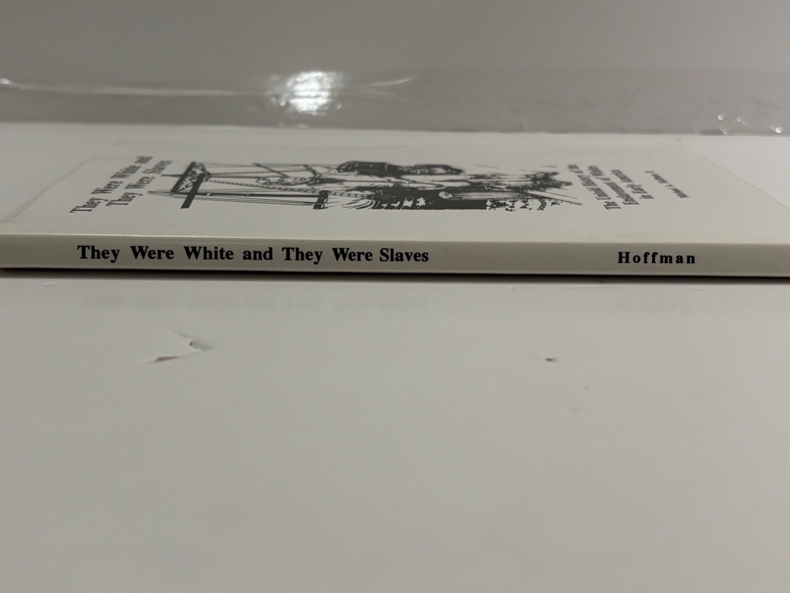 They Were White and They Were Slave…, Hoffman, Michae