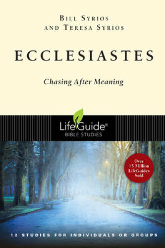 Ecclesiastes: Chasing After Meaning (Lifeguide Bible Studies) – Paperback – GOOD
