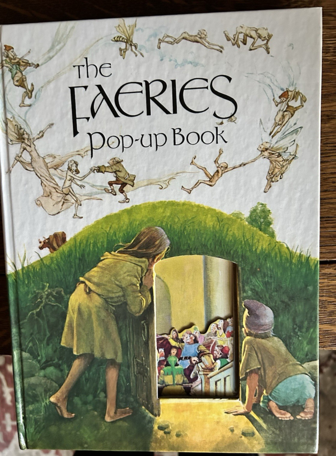 The Faeries Pop-Up Book Vintage by Harry N. Abrams 1980 HC VG condition