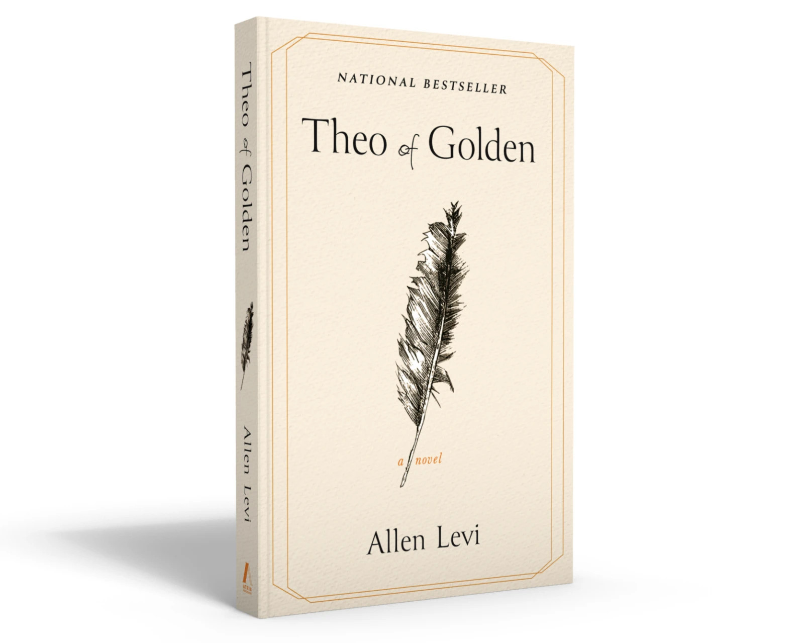 Theo of Golden Allen Levi Fantasy Adventure Book Paperback 448 Pages 6×9 English