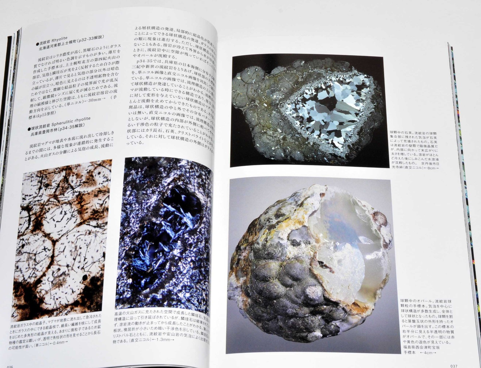 Rock Thin Section Illustrated Guide: Mineral Composition and History from Japan