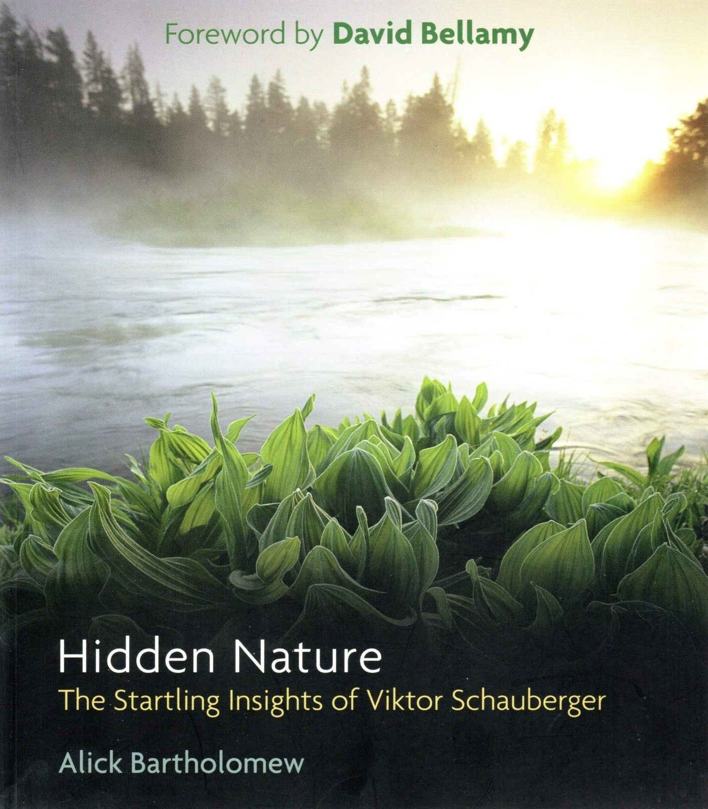 HIDDEN NATURE Last, First