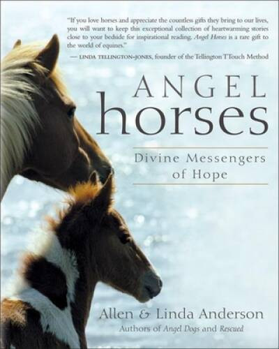 Angel Horses: Divine Messengers of Hope – Paperback – VERY GOOD