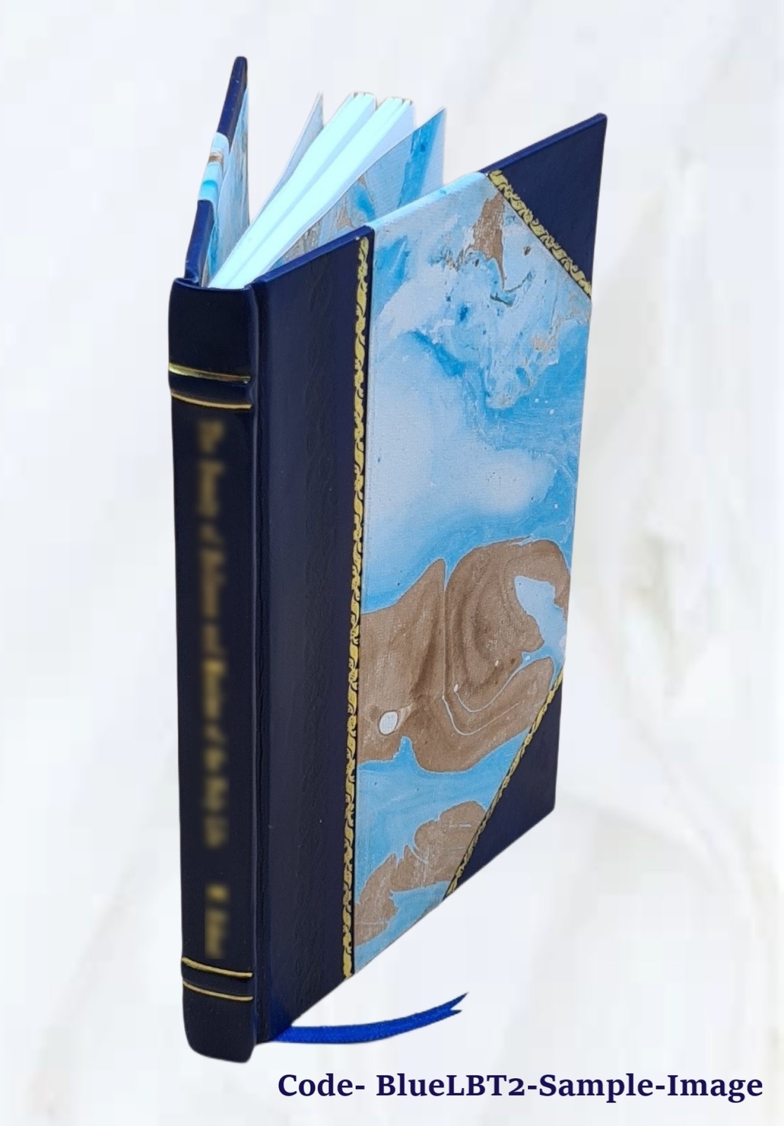 Application of Samuel D. Bradford and others to set off wards si [Leather Bound]