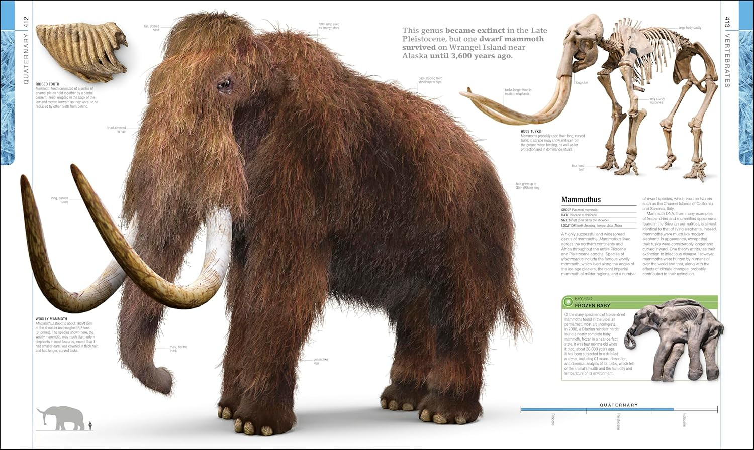 Dinosaurs and Prehistoric Life: the Definitive Visual Guide to Prehistoric Anima
