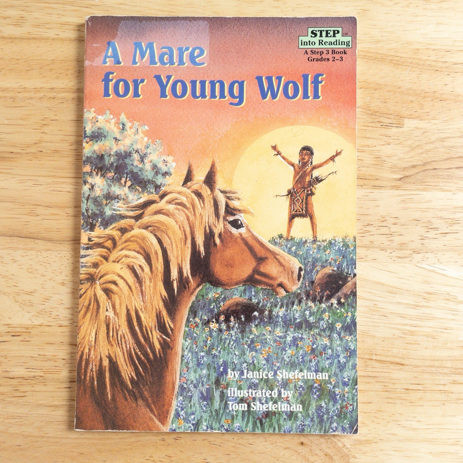 Step Into Reading Books Level 2 & 3 Nonfiction Beginning Reader Bundle of 8