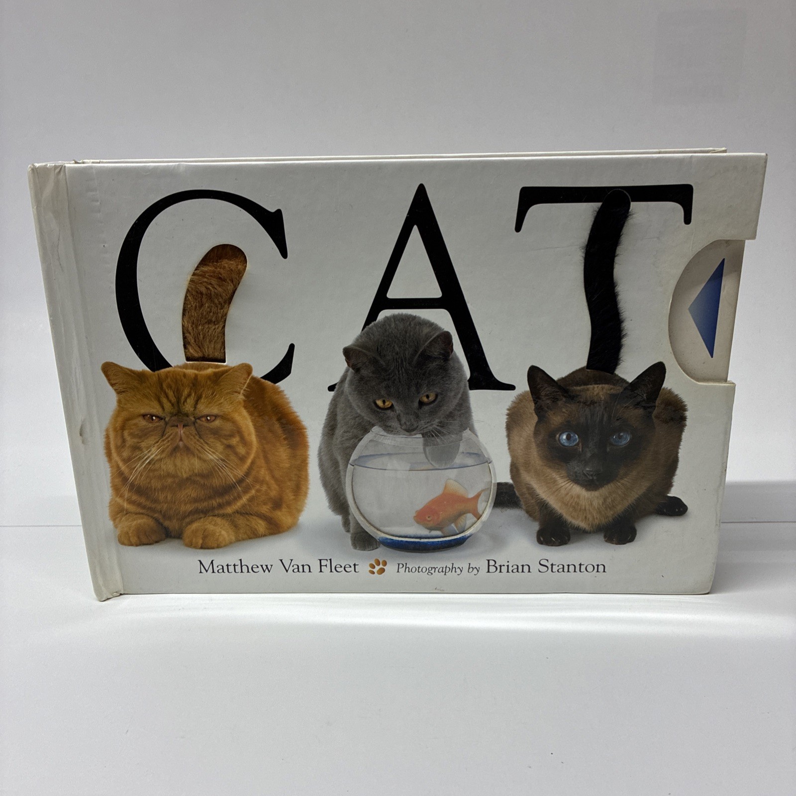 Simon and Schuster Cat Novelty Book by Brian Stanton
