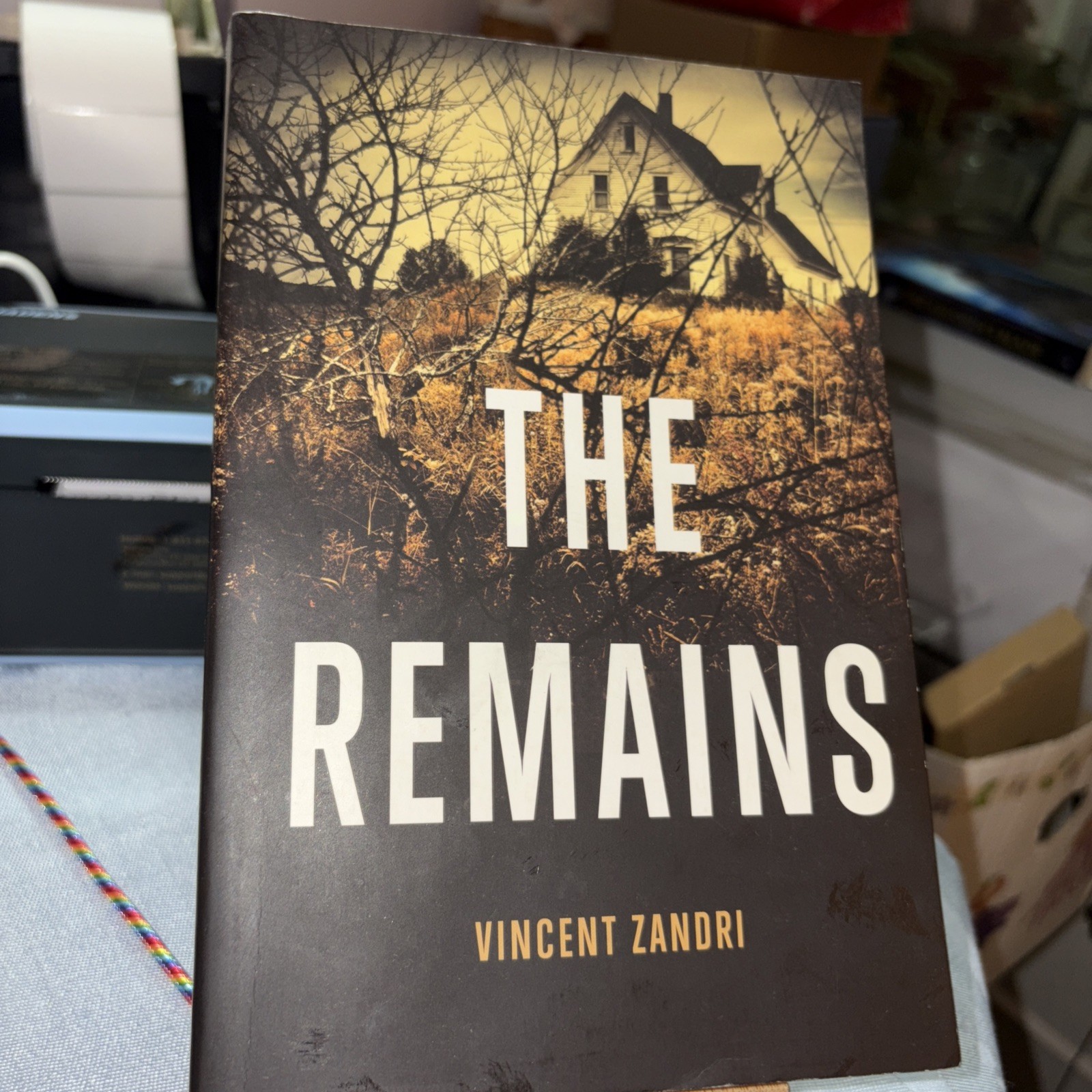 Remains by Vincent Zandri (2012, Trade Paperback)