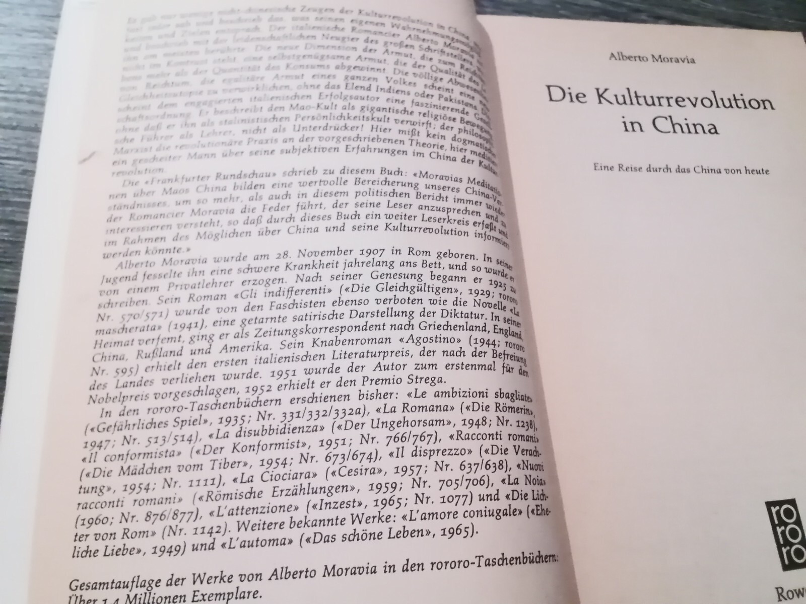 Die Kulturrevolution in China. Eine Reise durch das China von heute