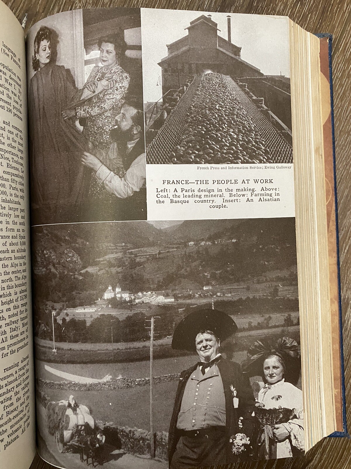 Vintage 1949 The American Educator Encyclopedia Heliograph Pages 1249-1664 Book