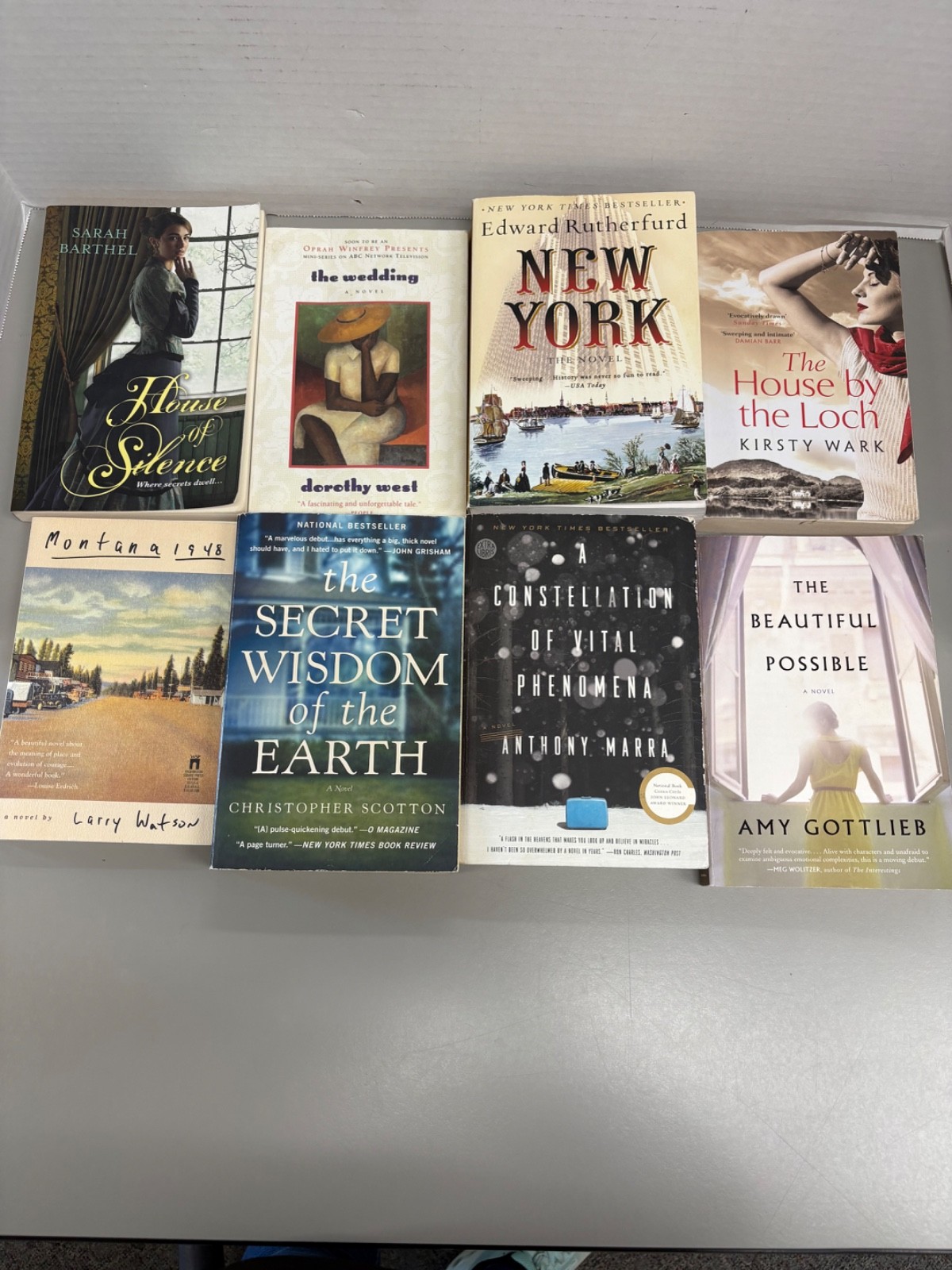 Historical Fiction Lot of 8 Trade Paperbacks (See Photos for Titles)