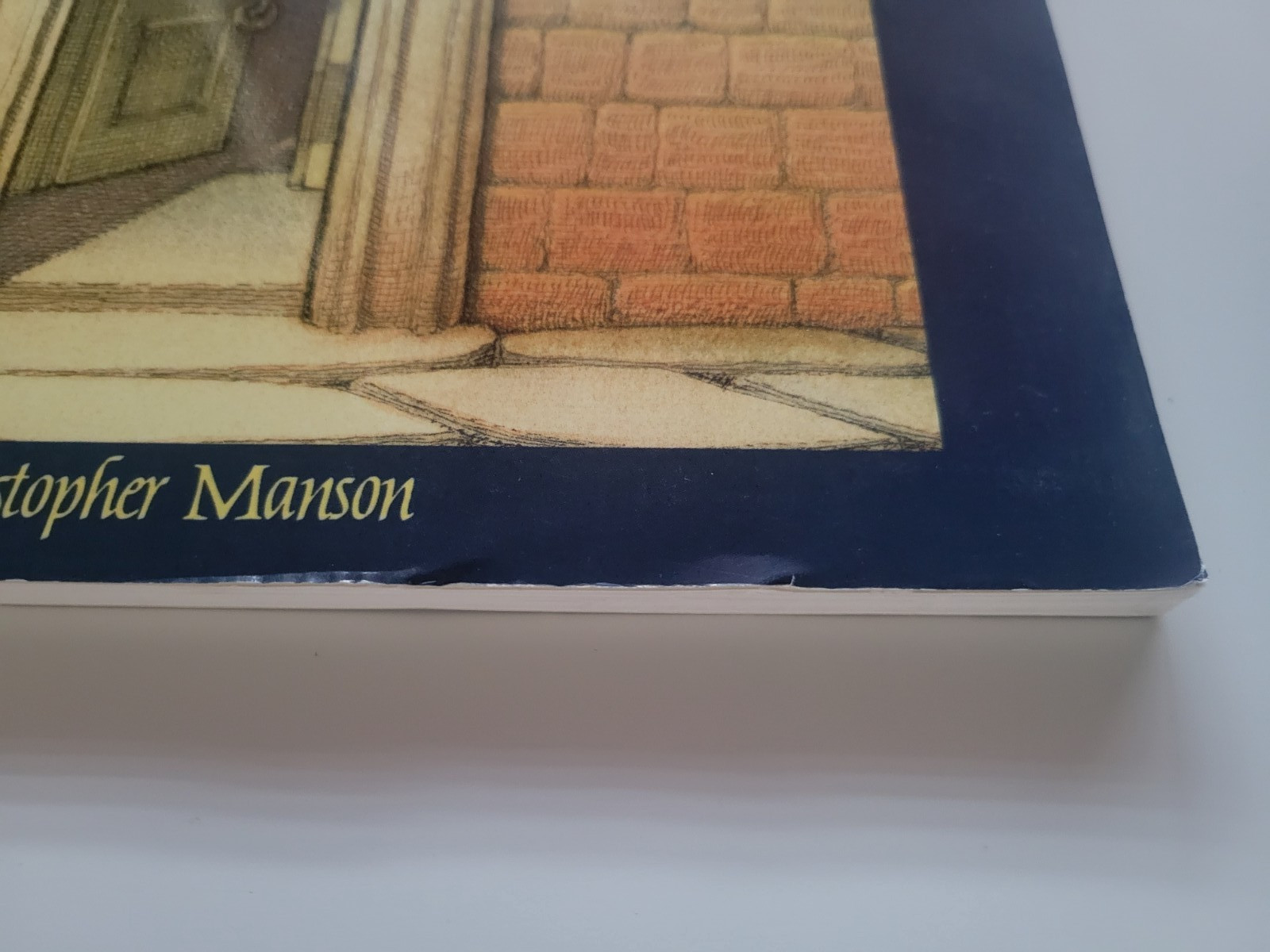 MAZE A RIDDLE IN WORDS & PICS WORLD’S MOST CHALLENGING PUZZLE CHRISTOPHER MANSON