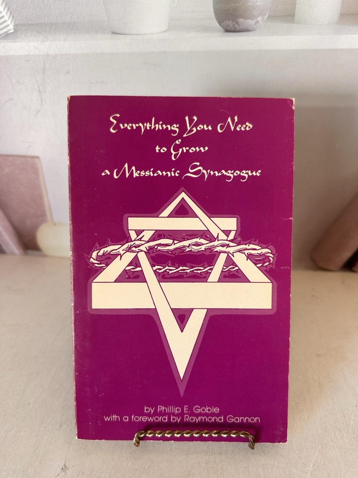 Everything You Need to Grow a Messianic Synagogue Paperback Phill