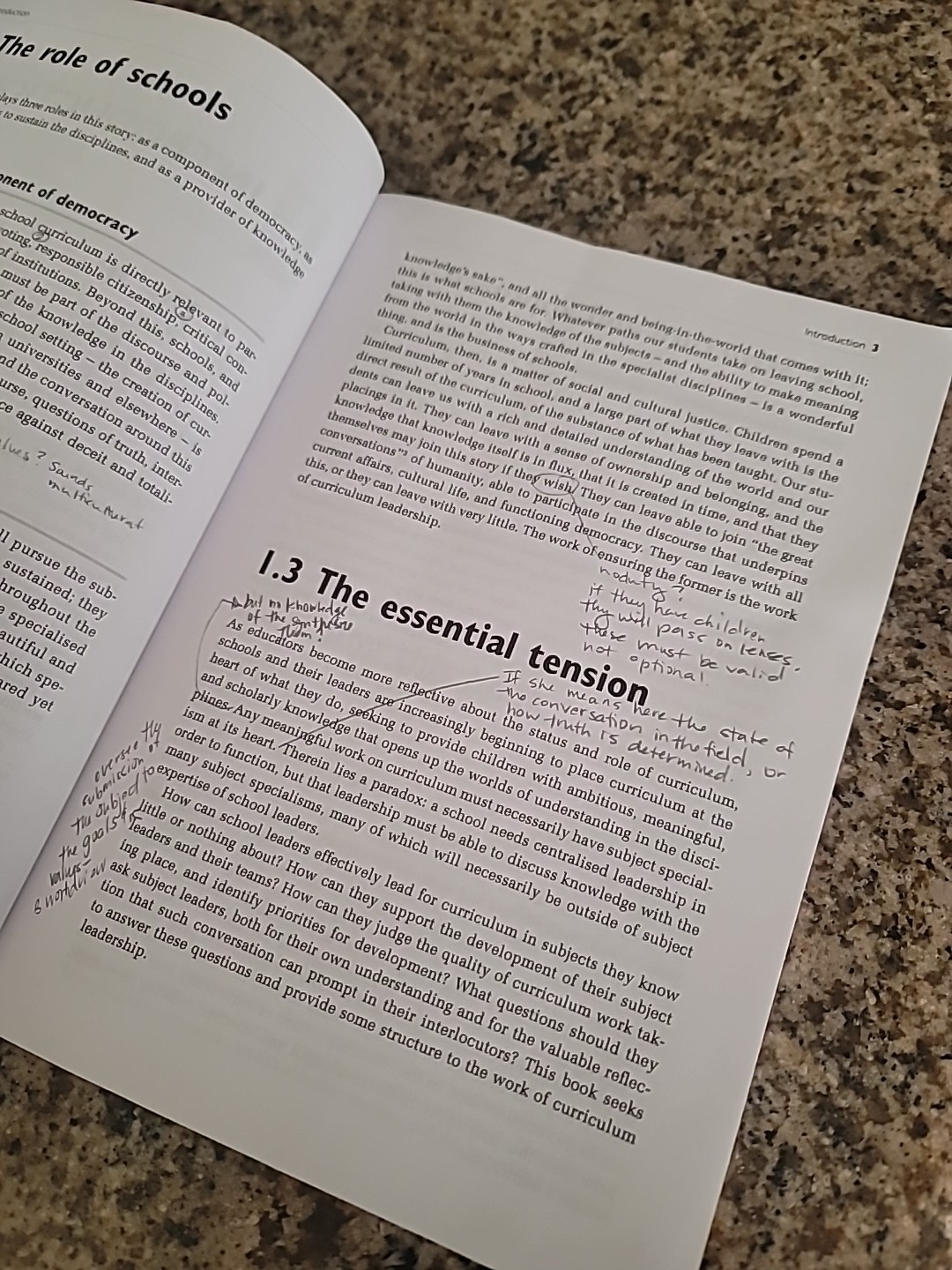 Curriculum: Theory, Culture And The Subject Specialisms