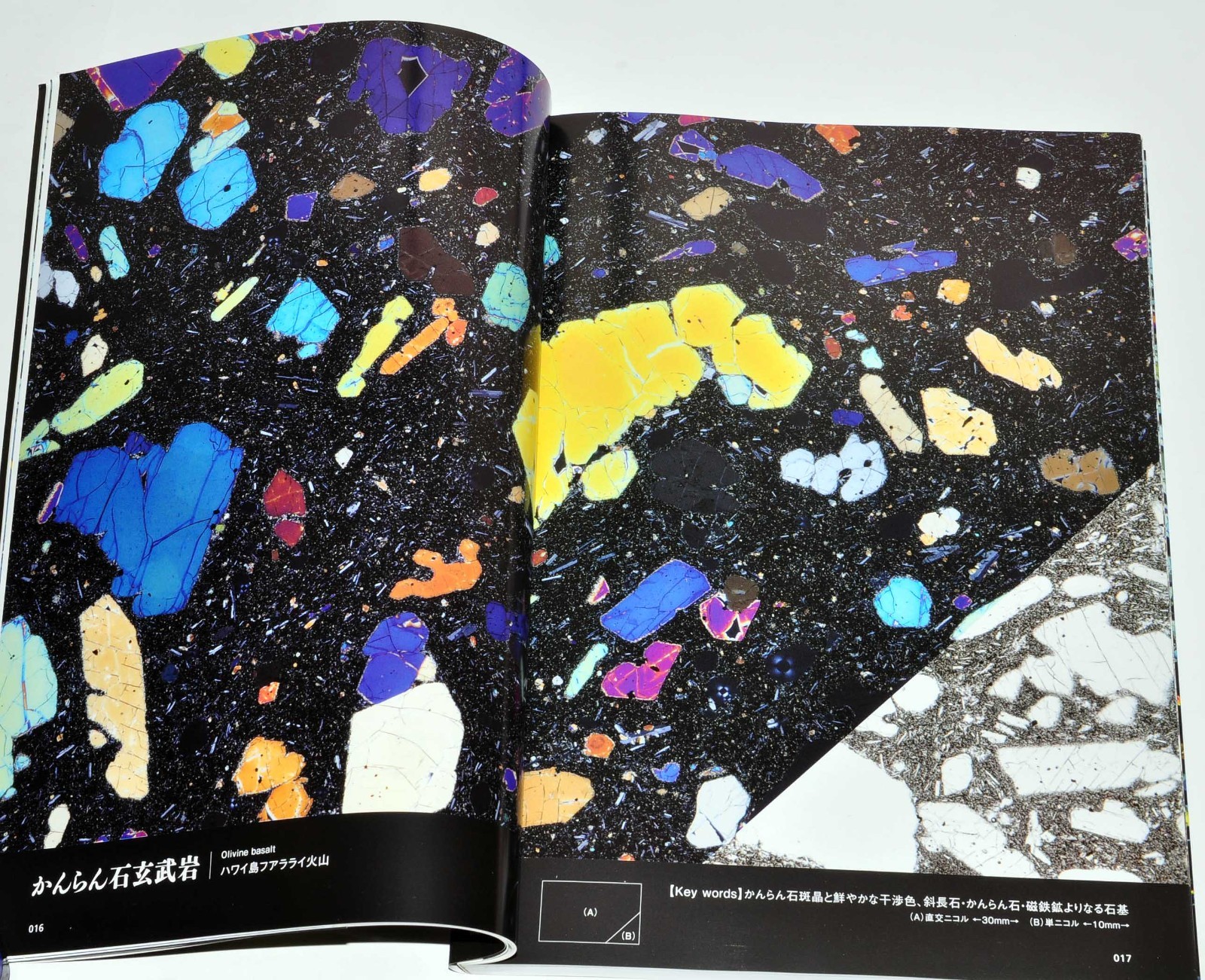 Rock Thin Section Illustrated Guide: Mineral Composition and History from Japan