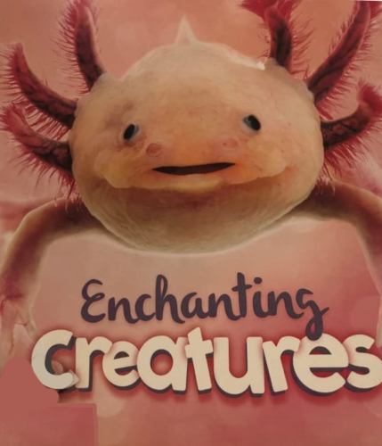 Enchanting Creatures – 9780711245600, Camilla De La Bedoyere, library binding
