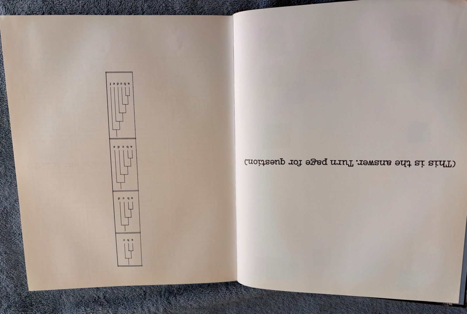 The Wilco Book 2004 Unreleased Music Essays Photos Jeff Tweedy w/CD GREAT BAND!