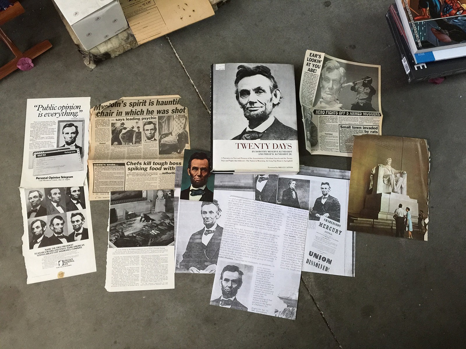 Twenty Days, A Narrative in Text and Pictures of the Assassination of Abraha…