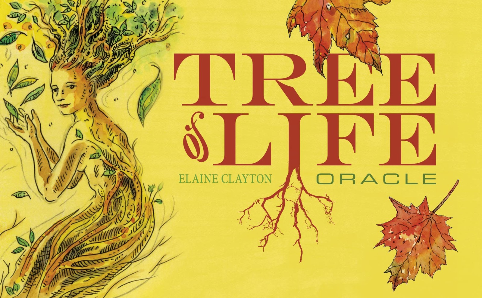 Tree of Life Oracle Clayton, Elaine bundle Very Good