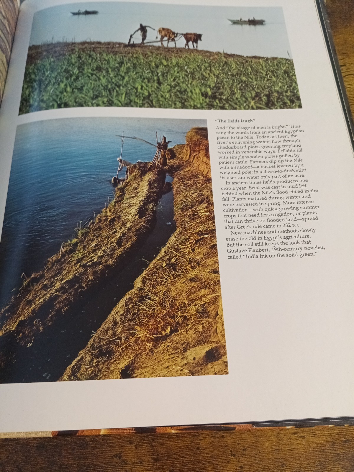 Ancient Egypt: Discovering Its Splendors National Geographic 1978 1st Ed…