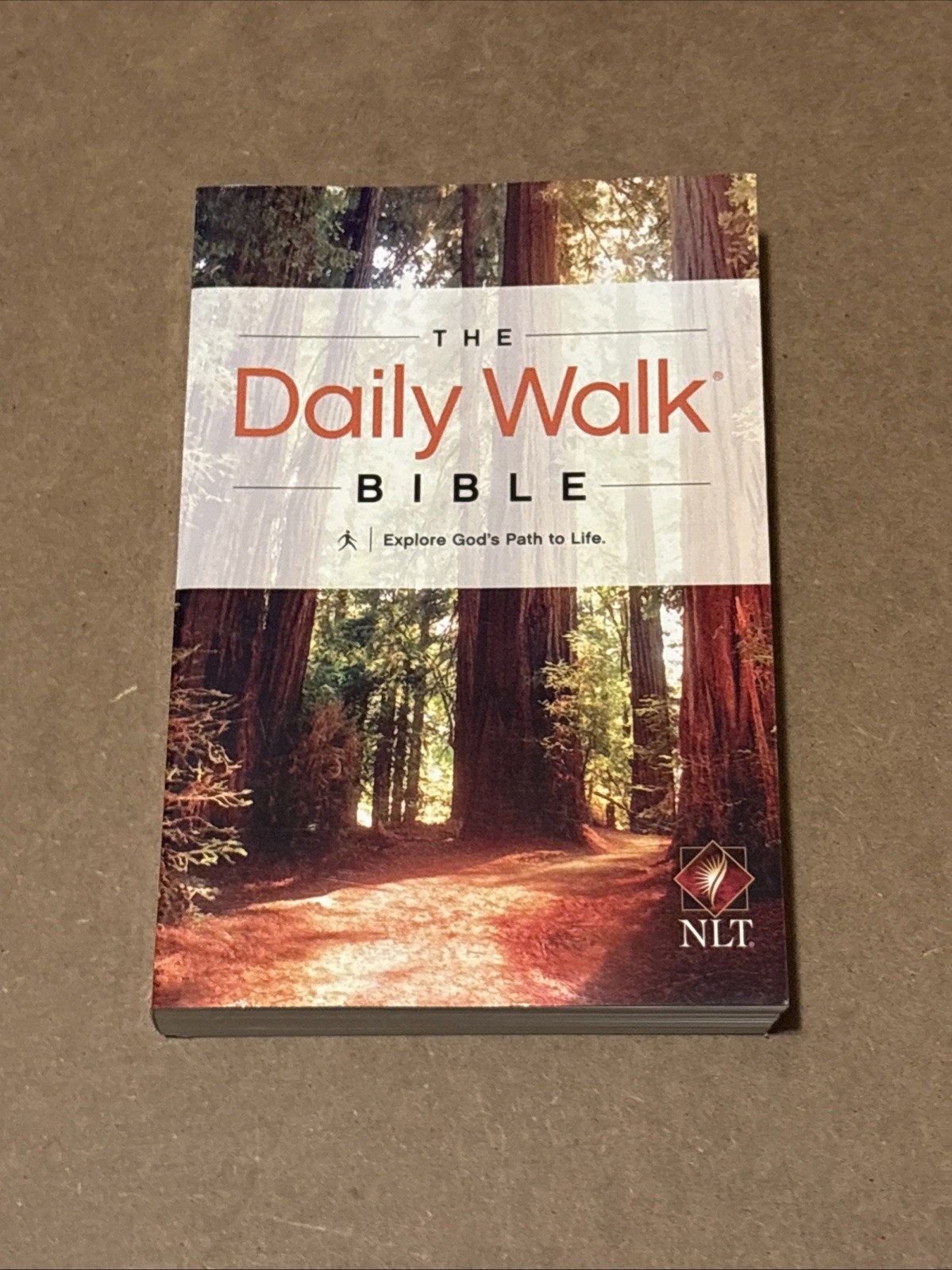 Daily Walk by Tyndale House Publishers Staff (2013, Trade Paperback)