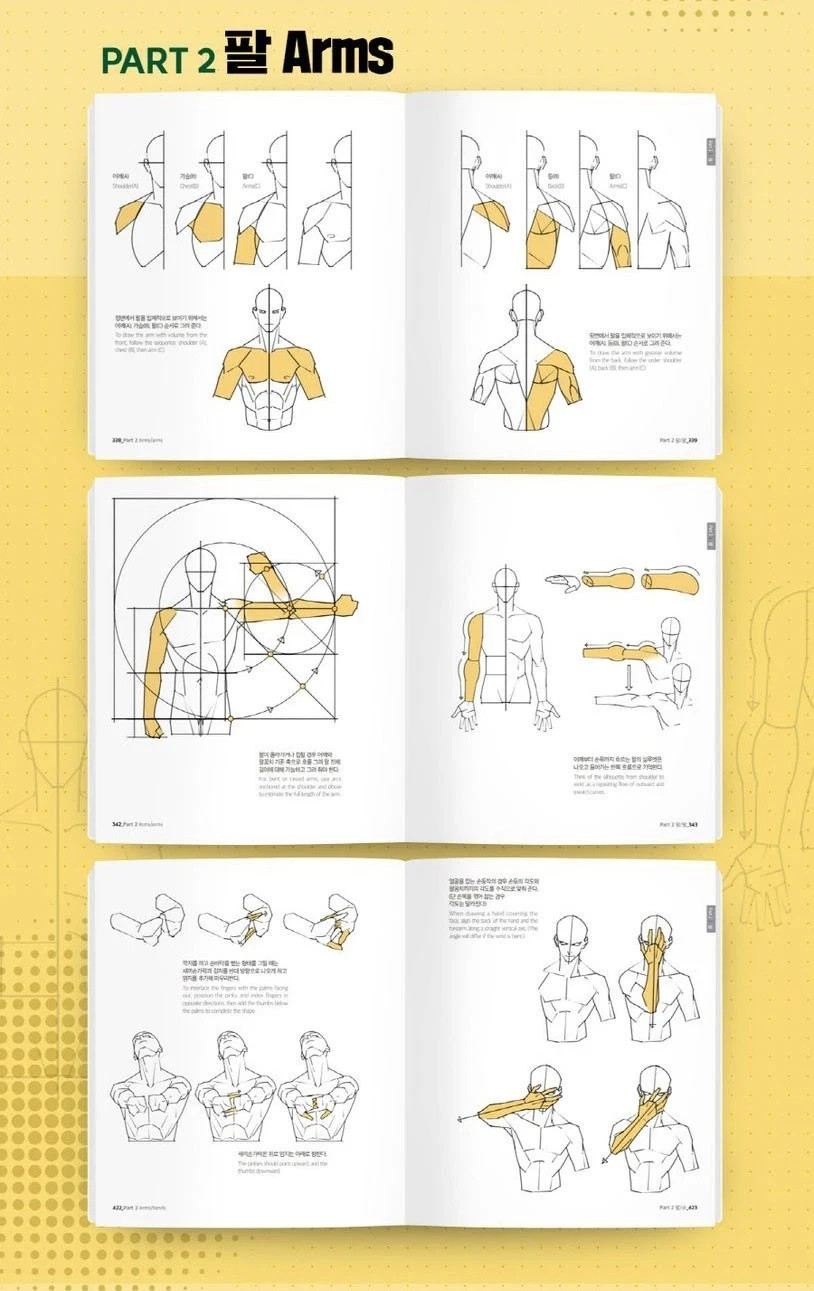 Point Character Drawing 1 + 2 by TACO Art Guide Korean English + Express