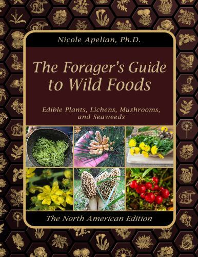 The Forager’s Guide to Wild Foods by Nicole Apelian, Good Book