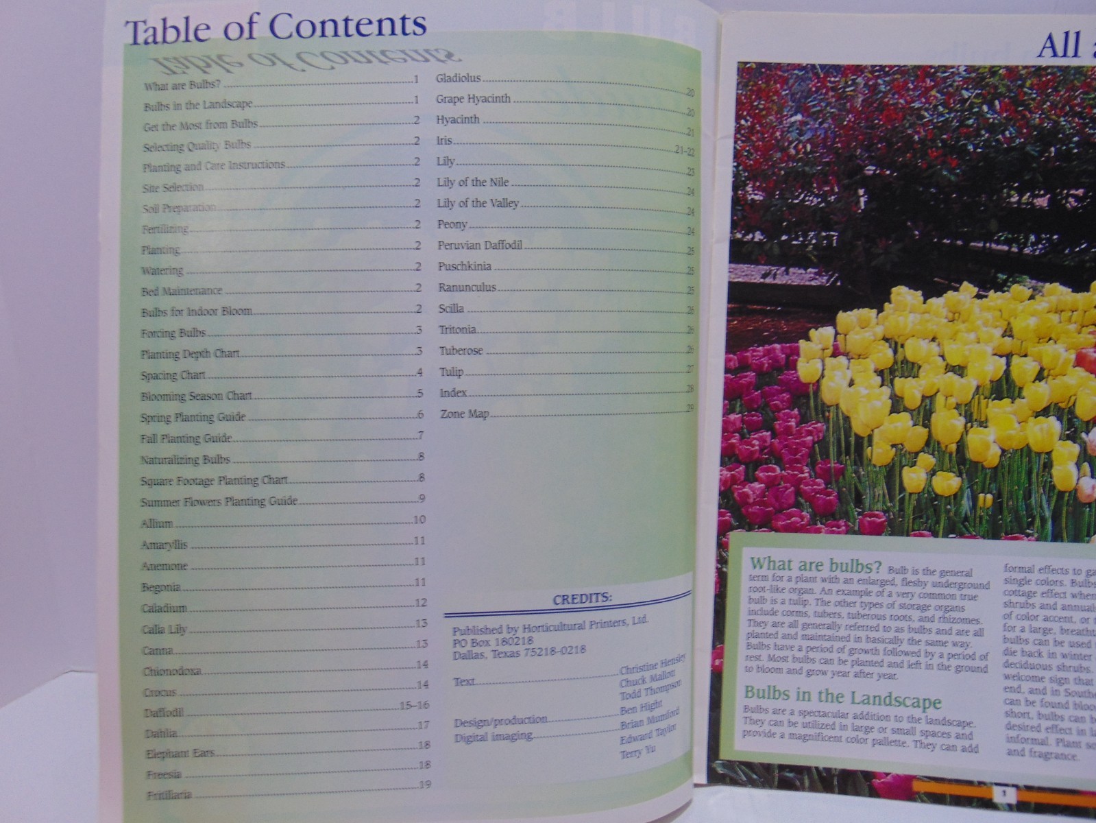 The Home Depot Bulb Guide #824-690