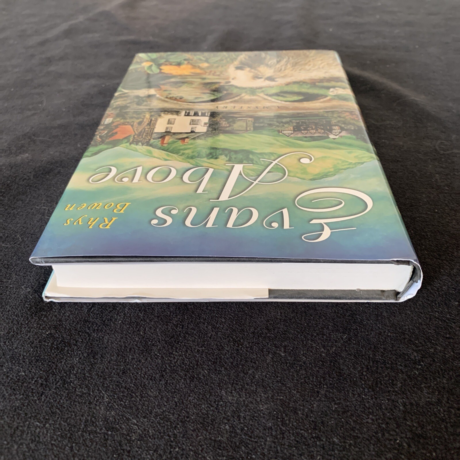 Signed, 1st ed, 2nd print! Evans Above by Bowen, Rhys 1997 HCDJ Unread Like new